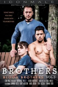 Brothers 3 Blood Brothers