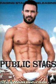 Public Stags