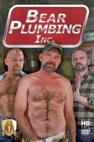 Bear Plumbing Inc