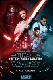 Star Wars The Gay Force Awakens