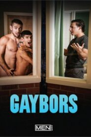 Gaybors