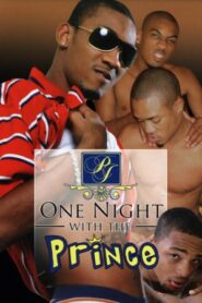 One Night with the Prince