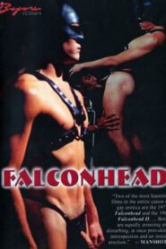 Falconhead