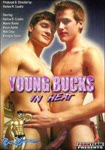 Young Bucks In Heat