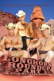 Longhorn Roundup