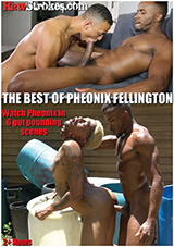 The Best Of Pheonix Fellington